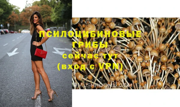 герыч Корсаков