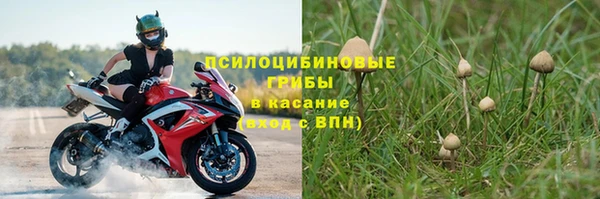 a pvp Коряжма