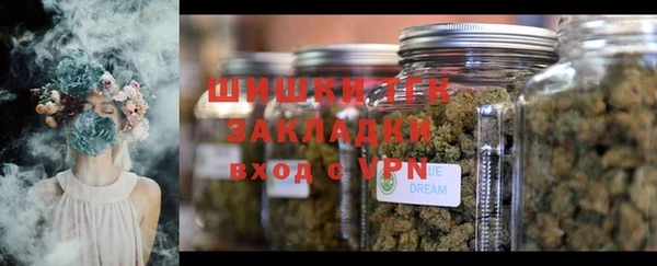 СК Кукмор